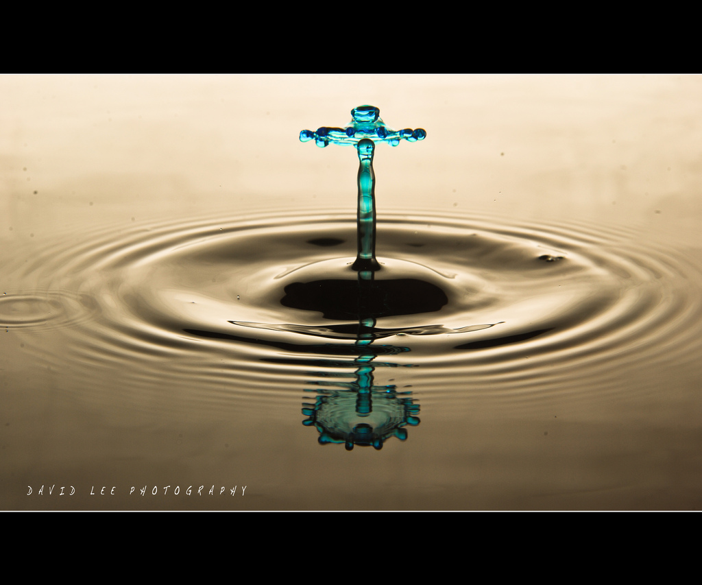 Macro water drop photography - 1