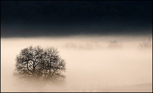 How to take great fog photos
