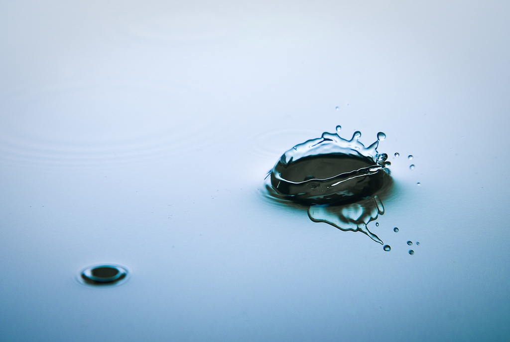 Macro water drop photography