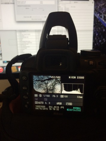 Anyone know how I can get rid of this screen on my image playback on a Nikon DX - 1